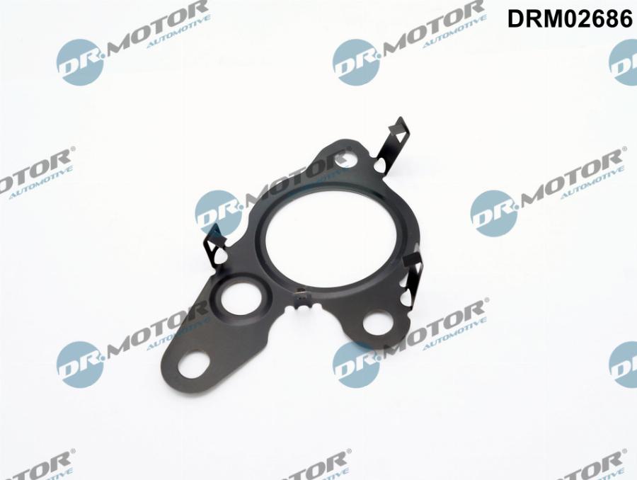 Dr.Motor Automotive DRM02686 - USZCZELKA ZAWORU AGR