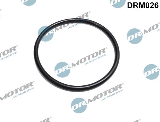 Dr.Motor Automotive DRM026 - USZCZELNIACZ PRZEPUSTNICY MAŁY RENAULT CLIO 1.4-2.0 98-