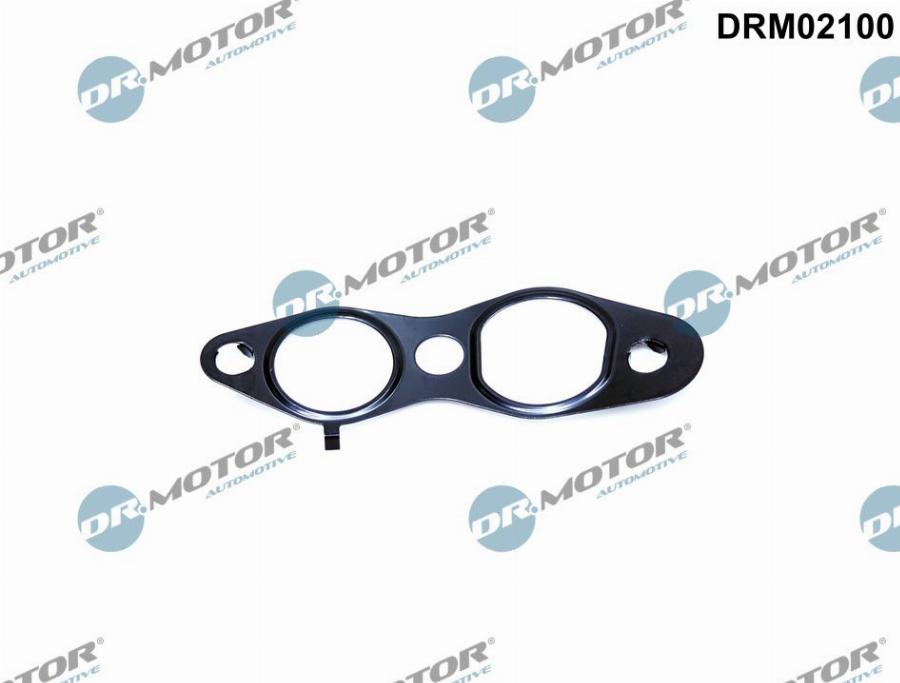 Dr.Motor Automotive DRM02100 - USZCZELKA ZAWORU EGR FIAT SCUDO 2.0D 10-