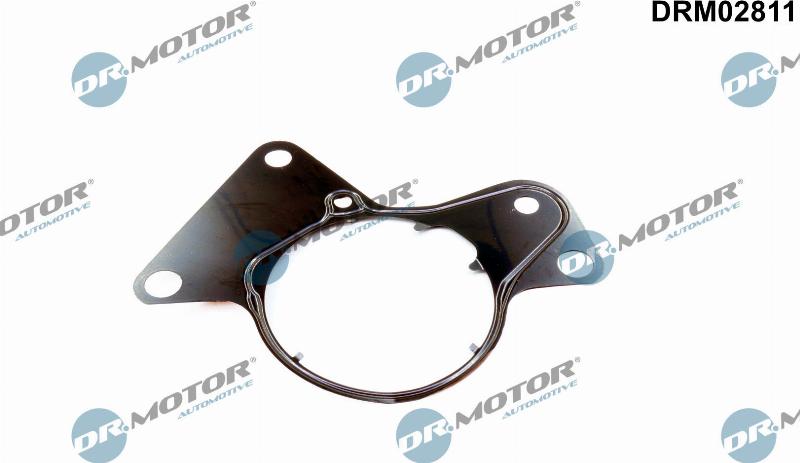 Dr.Motor Automotive DRM02811 — Uszczelka, pompa paliwowa