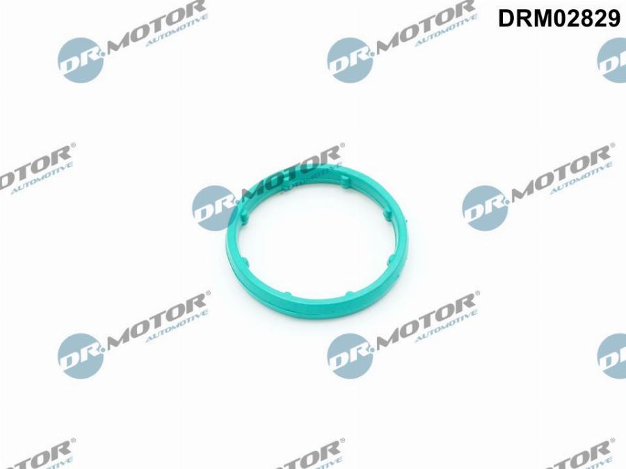 Dr.Motor Automotive DRM02829 — Uszczelka, chłodnica olejowa