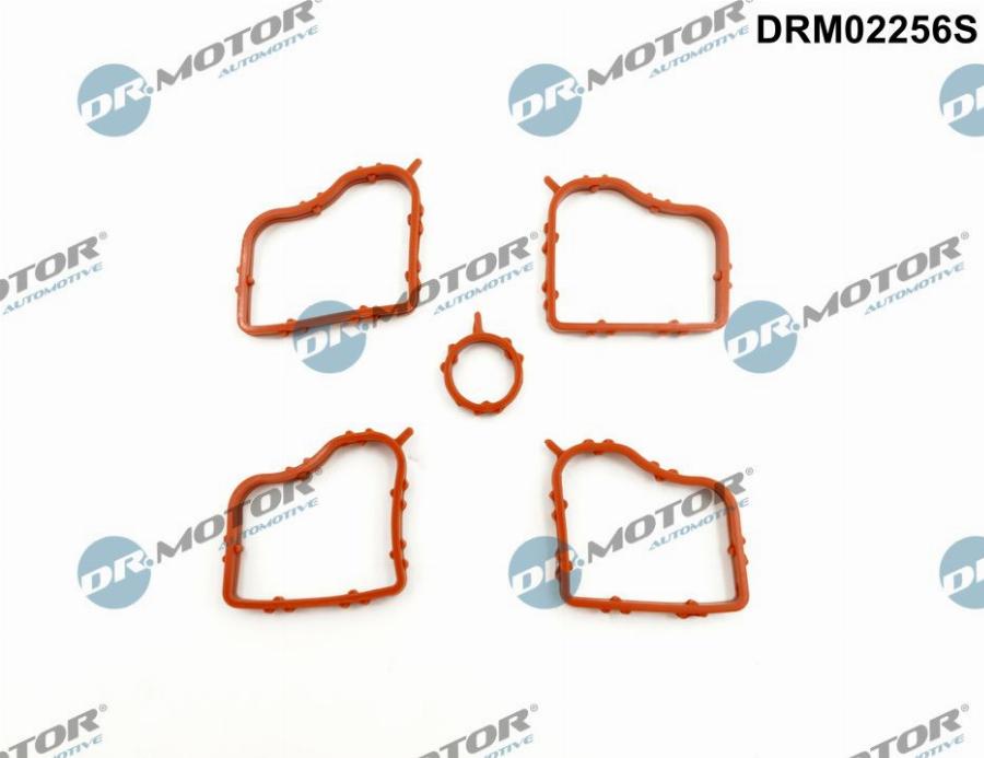 Dr.Motor Automotive DRM02256S — Zestaw uszczelek, pokrywa głowicy cylindra
