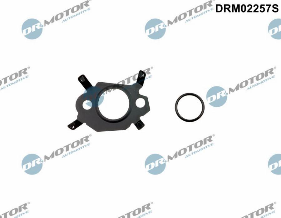 Dr.Motor Automotive DRM02257S — Zestaw uszczelek, system AGR