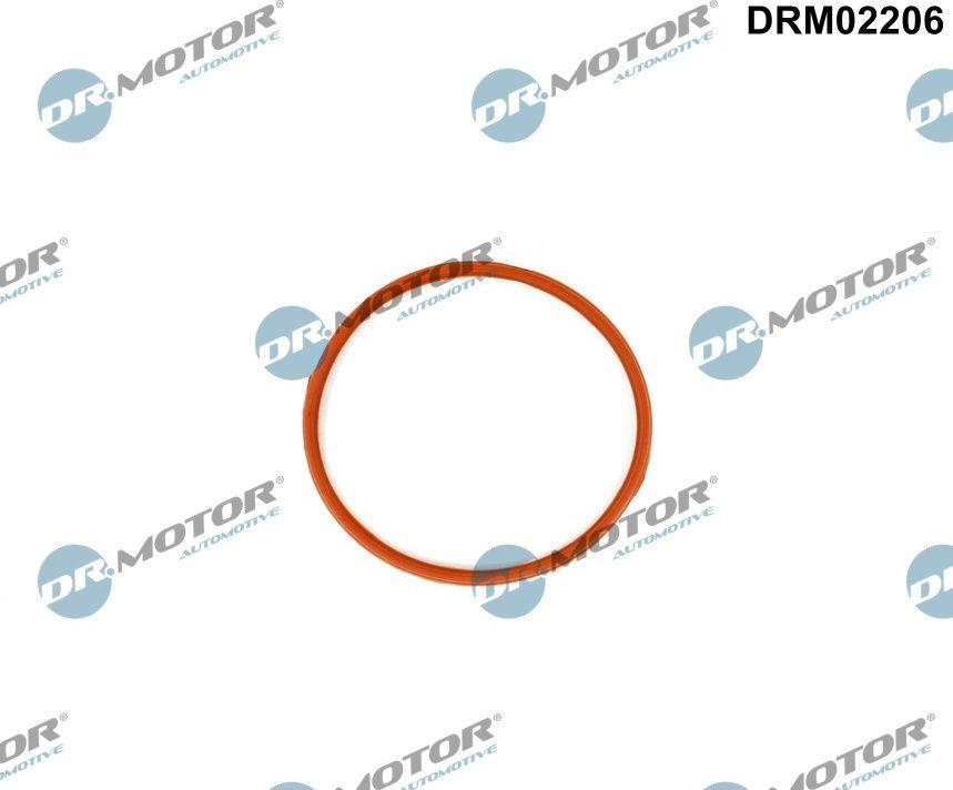Dr.Motor Automotive DRM02206 — Uszczelka, kolektor dolotowy