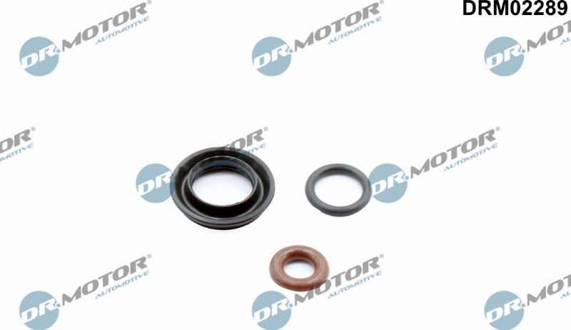 Dr.Motor Automotive DRM02289 — Zestaw uszczelek, końcówka wtrysku