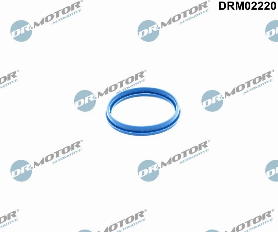 Dr.Motor Automotive DRM02220 - USZCZELKA OBUDOWY KOLEKTORA SSĄCEGO FORD TRANSIT 2.4TDCI 04-