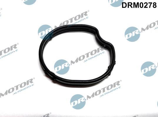 Dr.Motor Automotive DRM0278 - USZCZELKA TERMOSTATU FORD FOCUS 1.8TDCI 98-
