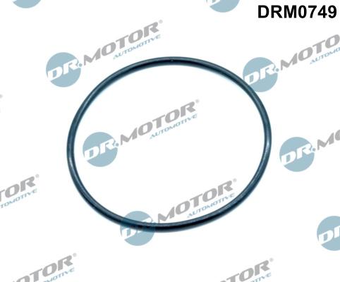 Dr.Motor Automotive DRM0749 — Uszczelnienie, zawór AGR