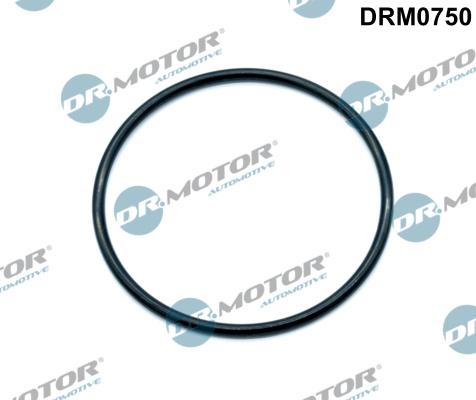 Dr.Motor Automotive DRM0750 — Uszczelka, kolektor dolotowy