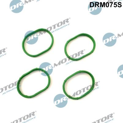 Dr.Motor Automotive DRM075S - USZCZ.KOLEKTOR -SS-AUDI A3 1.8 99- -4SZT