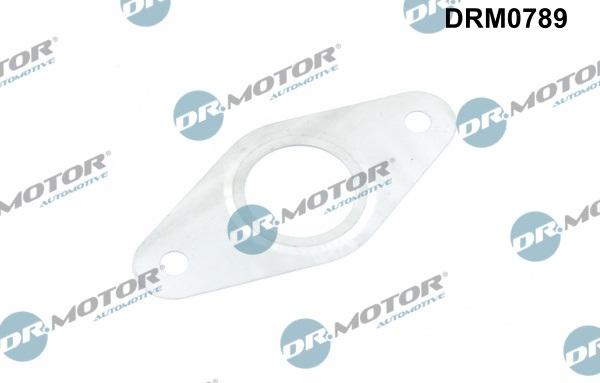 Dr.Motor Automotive DRM0789 — Zestaw uszczelek, system AGR