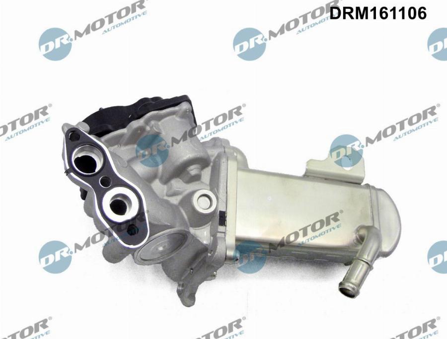 Dr.Motor Automotive DRM161106 - ZAWÓR EGR CITROEN 2.0HDI MODUŁ