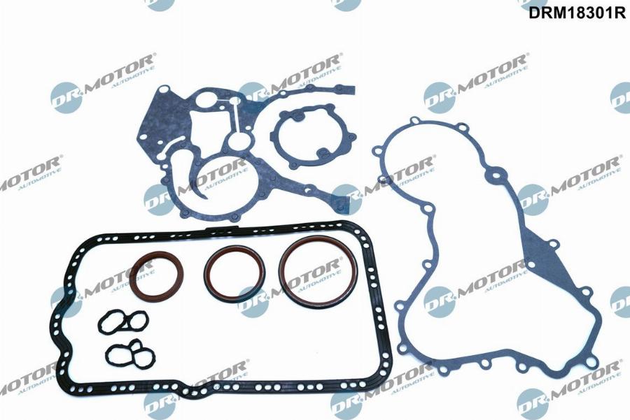 Dr.Motor Automotive DRM18301R — Zestaw uszczelek, skrzynia korbowa