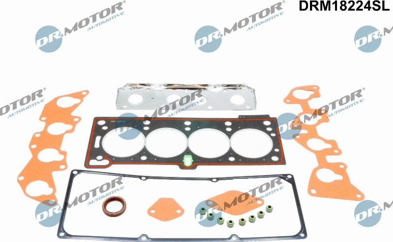 Dr.Motor Automotive DRM18224SL — Zestaw uszczelek, głowica cylindrów