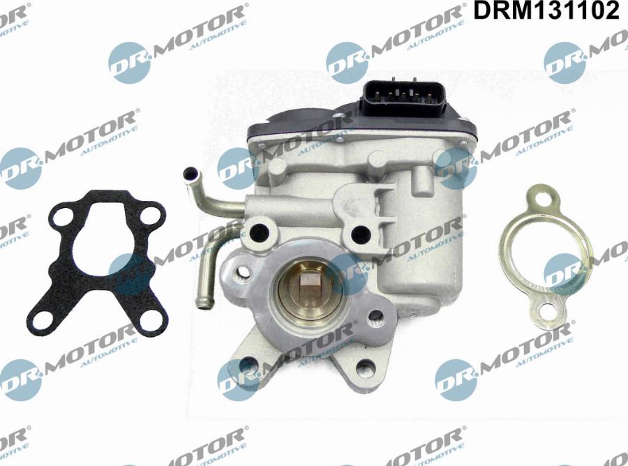Dr.Motor Automotive DRM131102 — Zawór AGR