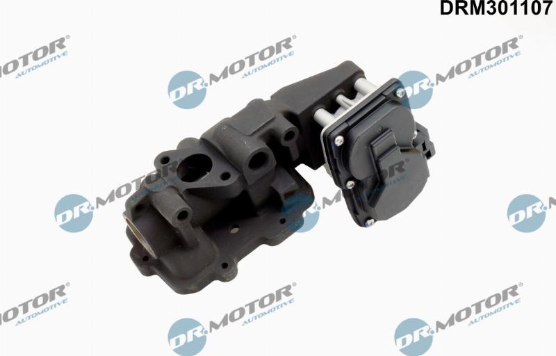 Dr.Motor Automotive DRM301107 — Zawór AGR
