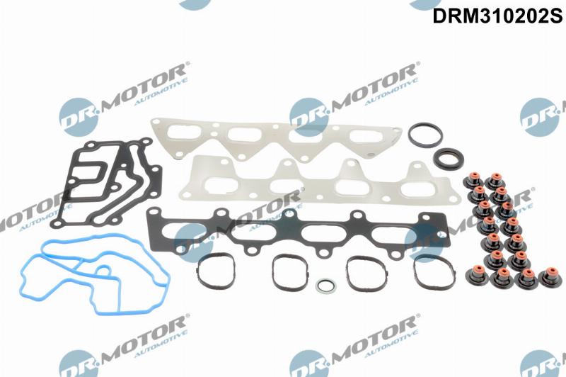Dr.Motor Automotive DRM310202S — Zestaw uszczelek, głowica cylindrów