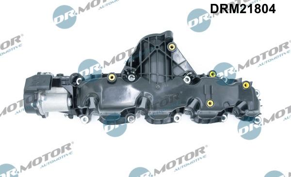 Dr.Motor Automotive DRM21804 - KOLEKTOR SS. VW 2.0TDI MODUŁ