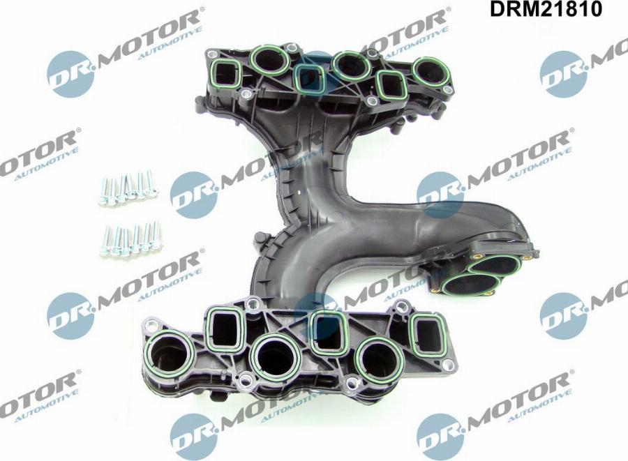 Dr.Motor Automotive DRM21810 - KOLEKTOR SS. AUDI 3.0TDI V6 A4-A5-A6-A7-Q5