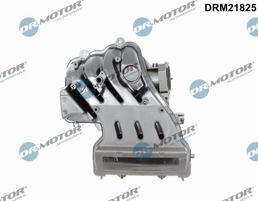 Dr.Motor Automotive DRM21825 - KOLEKTOR SS. VW 1.6 GOLF VI-PASSAT B6