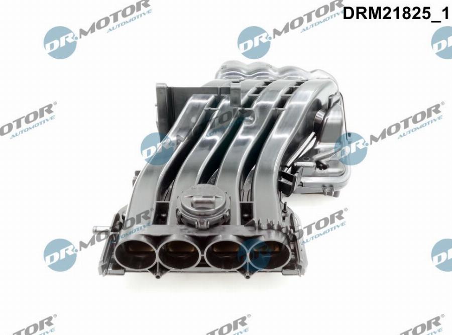 Dr.Motor Automotive DRM21825 - KOLEKTOR SS. VW 1.6 GOLF VI-PASSAT B6