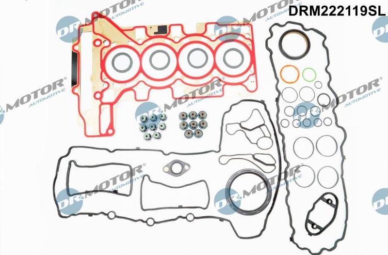 Dr.Motor Automotive DRM222119SL — Kompletny zestaw uszczelek, silnik