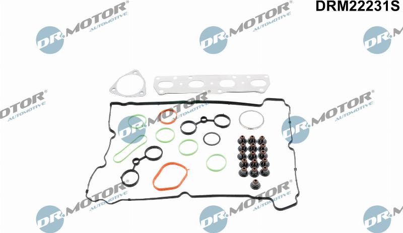 Dr.Motor Automotive DRM22231S — Zestaw uszczelek, głowica cylindrów