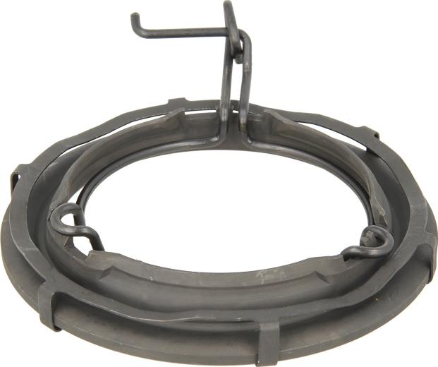 DT Spare Parts 4.61631 - Pierścień tarczy wyciskowej