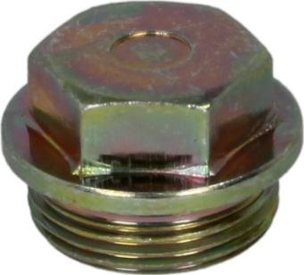 DT Spare Parts 4.30117 - Śruba spustu miski olejowej