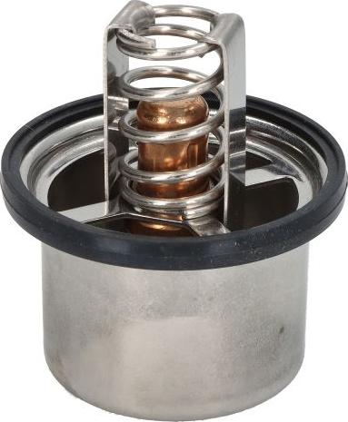 DT Spare Parts 5.41096 — Termostat, środek chłodzący