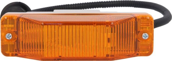 DT Spare Parts 5.81148 - Lampa kierunkowskazu