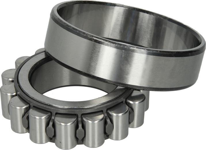 DT Spare Parts 1.16670 — Łożysko, wałek mechanizmu różnicowego