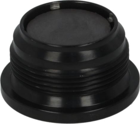DT Spare Parts 1.16278 - Korek spustu oleju