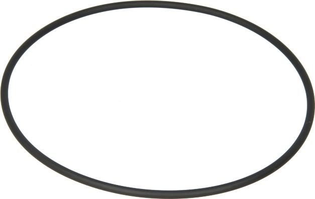DT Spare Parts 1.10891 - Oring tulei cylindrowej