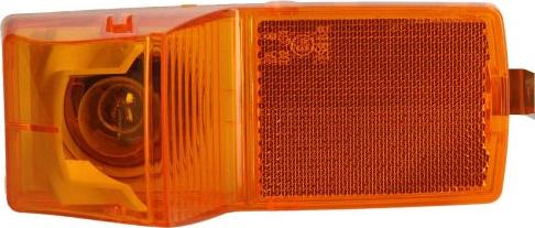 DT Spare Parts 1.21811 - Lampa kierunkowskazu