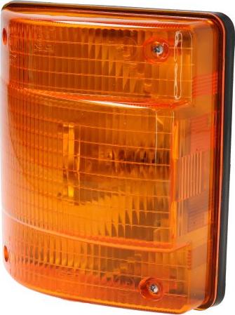 DT Spare Parts 3.31048 — Lampa kierunkowskazu