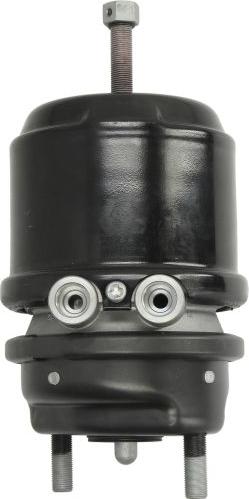 DT Spare Parts 3.74004 - Siłownik hamulcowy