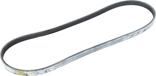 DT Spare Parts 7.54800 — Pasek klinowy wielorowkowy