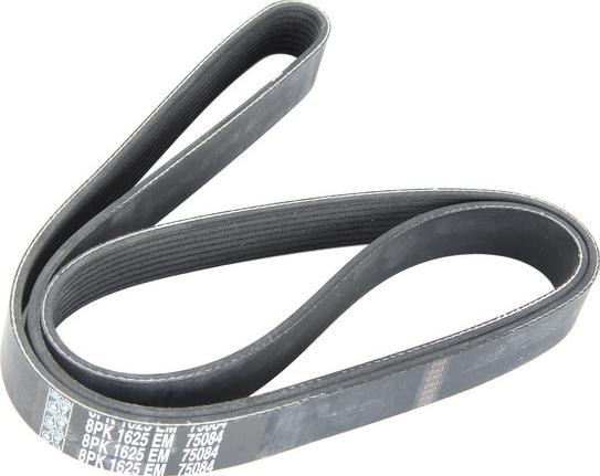 DT Spare Parts 7.54808 - Pasek wielorowkowy
