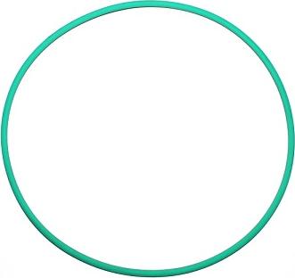 Elring 244.848 - Oring tulei cylindrowej