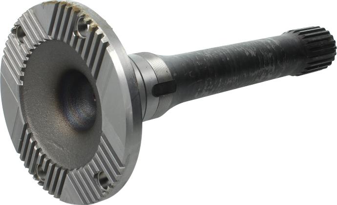 Euroricambi 60200342 — Łożysko, wałek mechanizmu różnicowego