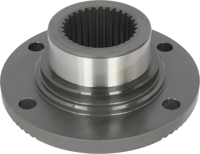 Euroricambi 30170495 — Flansza, mechanizm różnicowy