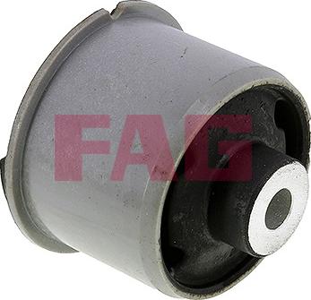 FAG 829 0561 10 — Łożyskowanie, korpus osi