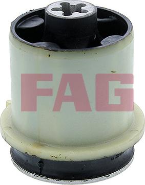 FAG 829 0621 10 — Łożyskowanie, korpus osi