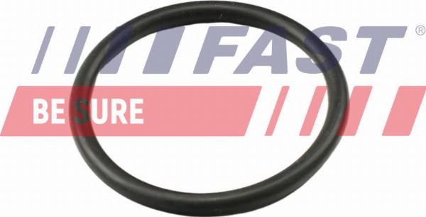 Fast FT49917 - Uszczelka, termostat