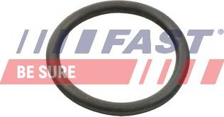 Fast FT49934 - Uszczelnienie, pompa wodna