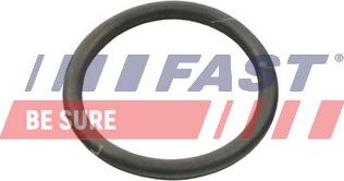 Fast FT49934 - Uszczelnienie, pompa wodna