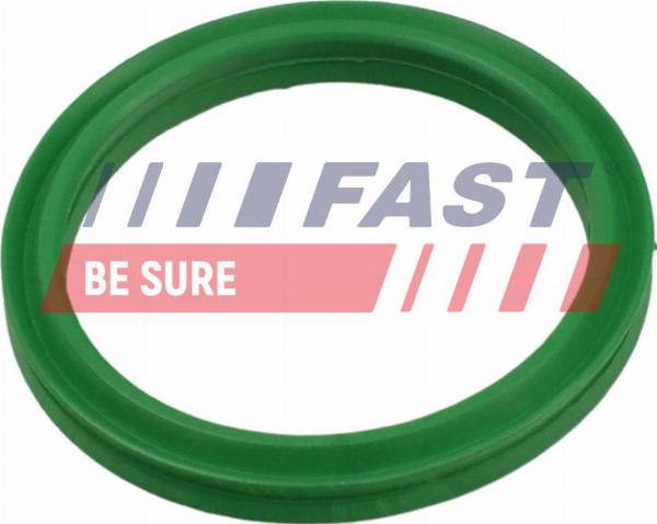 Fast FT49936 — Pierścień uszczelniający, elast. przewód pow. do turbiny