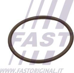 Fast FT49933 — Pierścień uszczelniający, elast. przewód pow. do turbiny