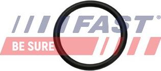 Fast FT49926 — Uszczelka, zawór klapowy nagrzewnicy